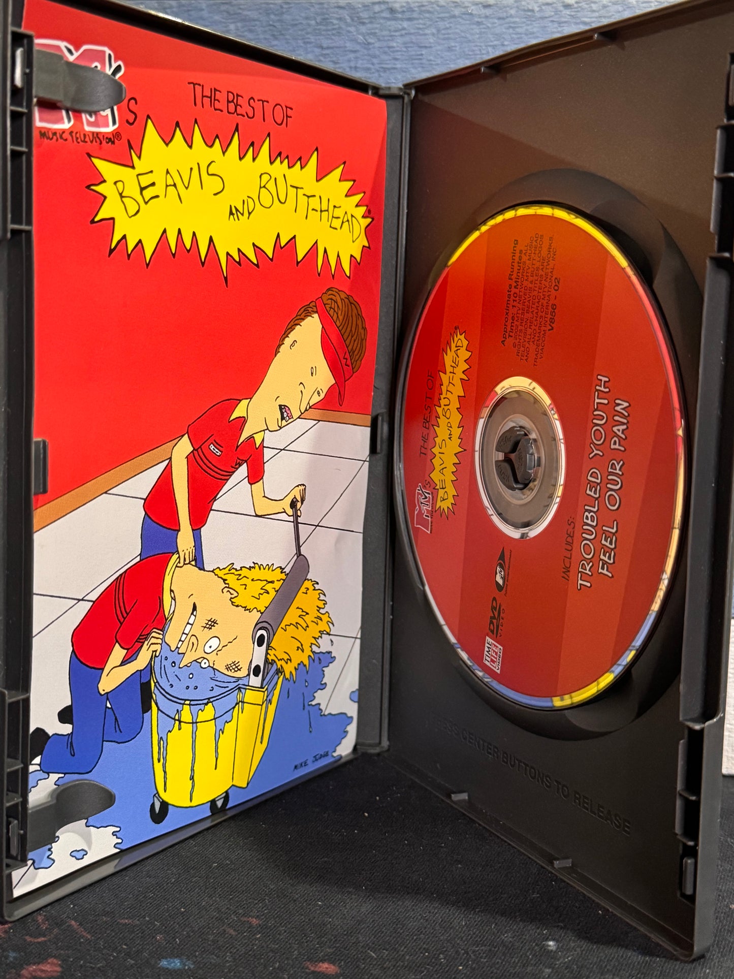 The Best of Beavis and Butthead: Troubled Youth and Feel Our Pain - DVD Used
