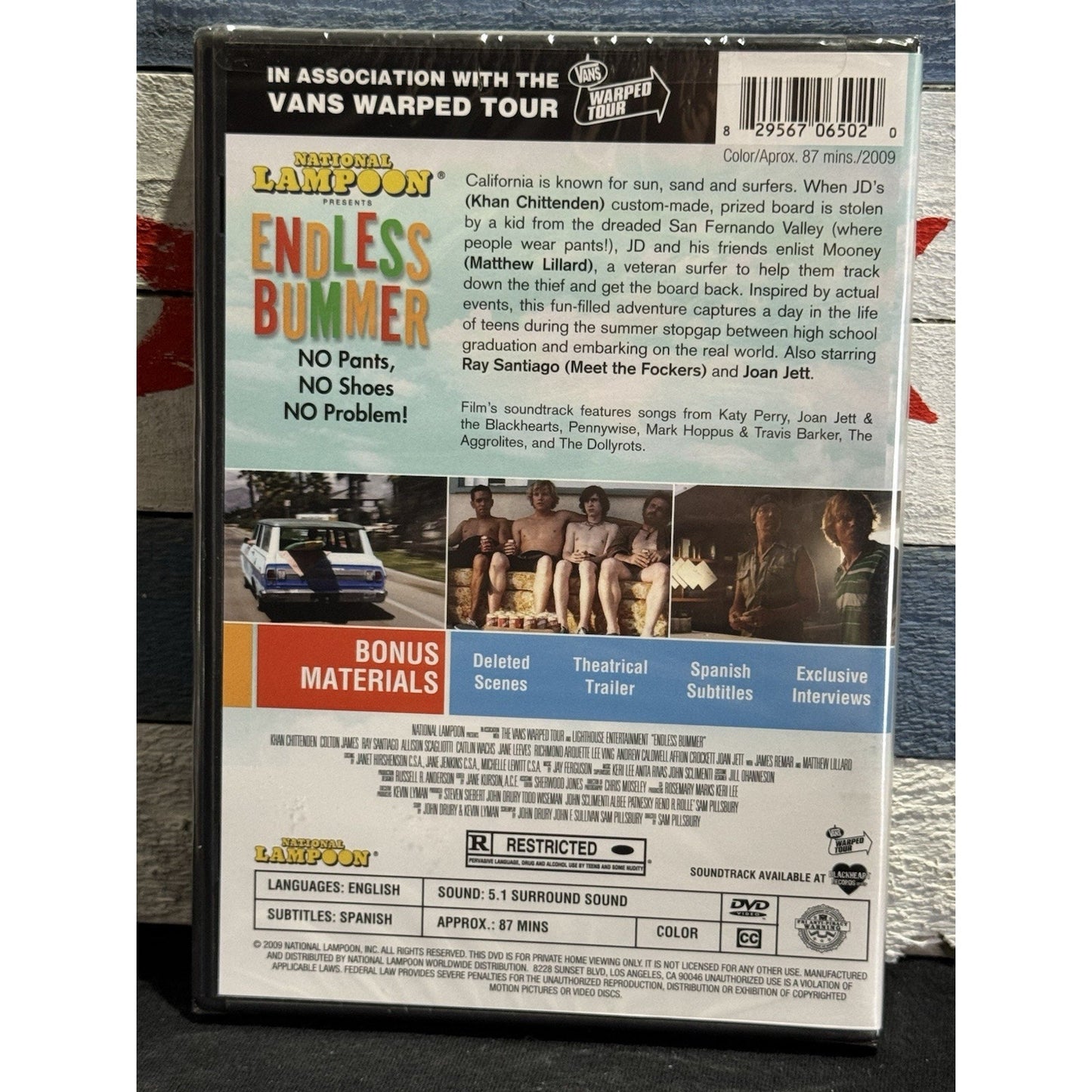 National Lampoon’s Endless Bummer - DVD