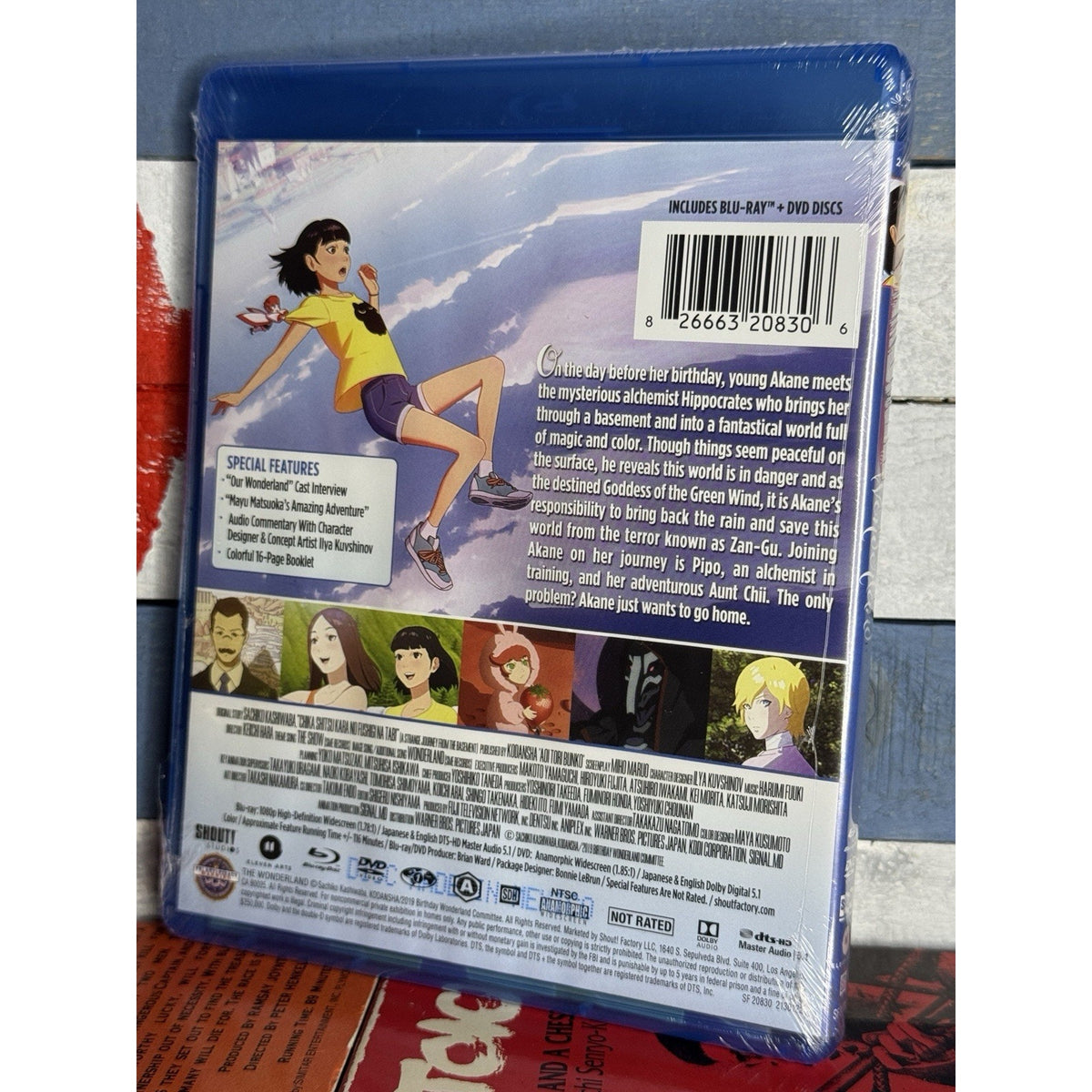 The Wonderland - Blu-ray