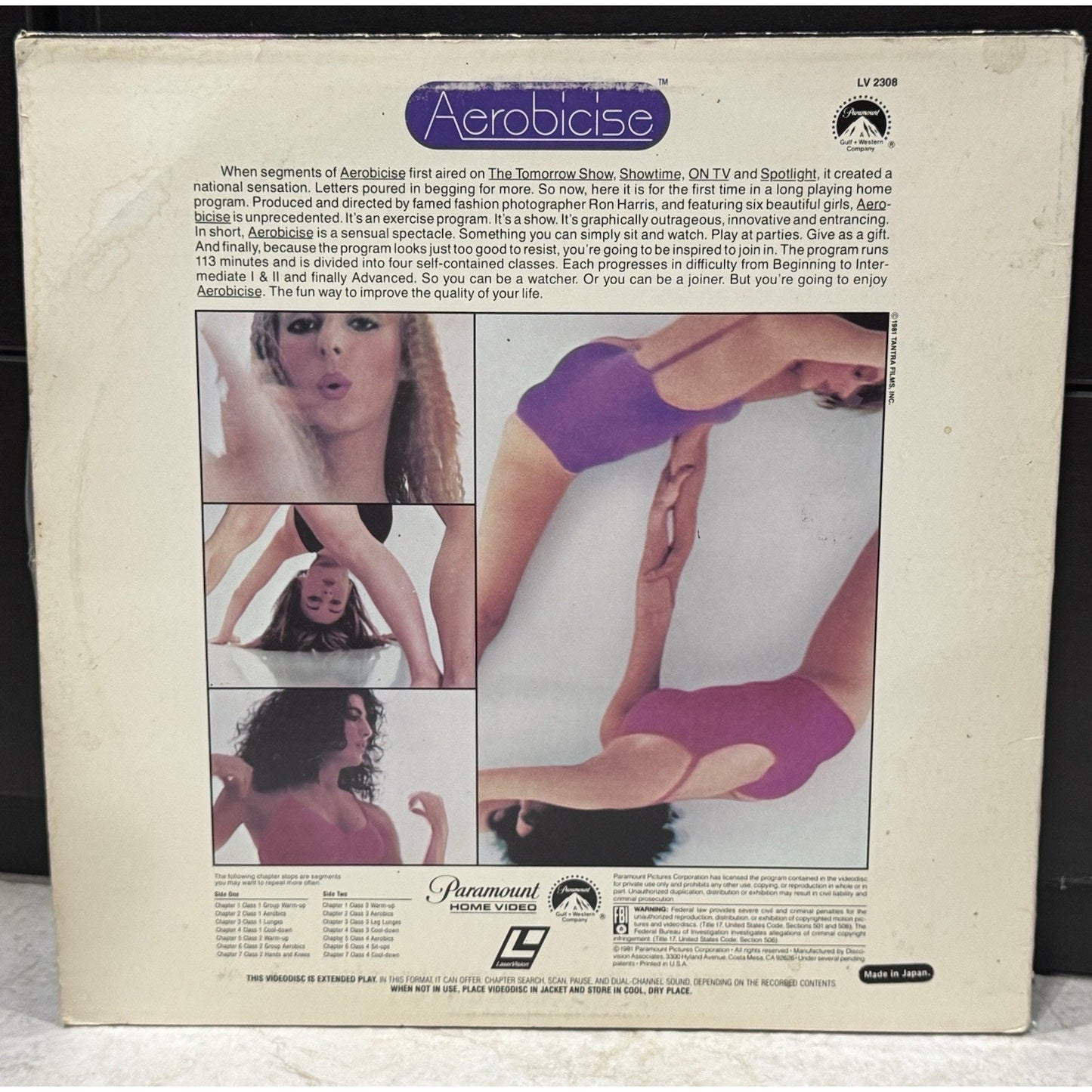 AEROBICISE: The Beautiful Workout - Laserdisc Used