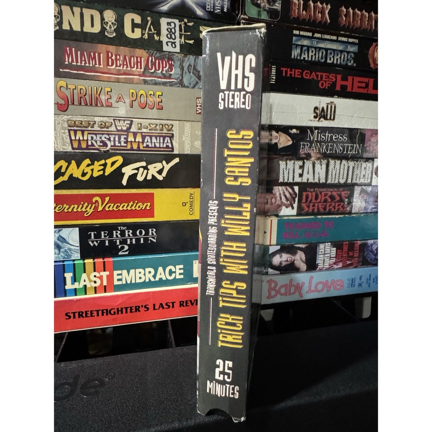 Transworld Skateboarding: Trick Tips with Willy Santos - VHS Used