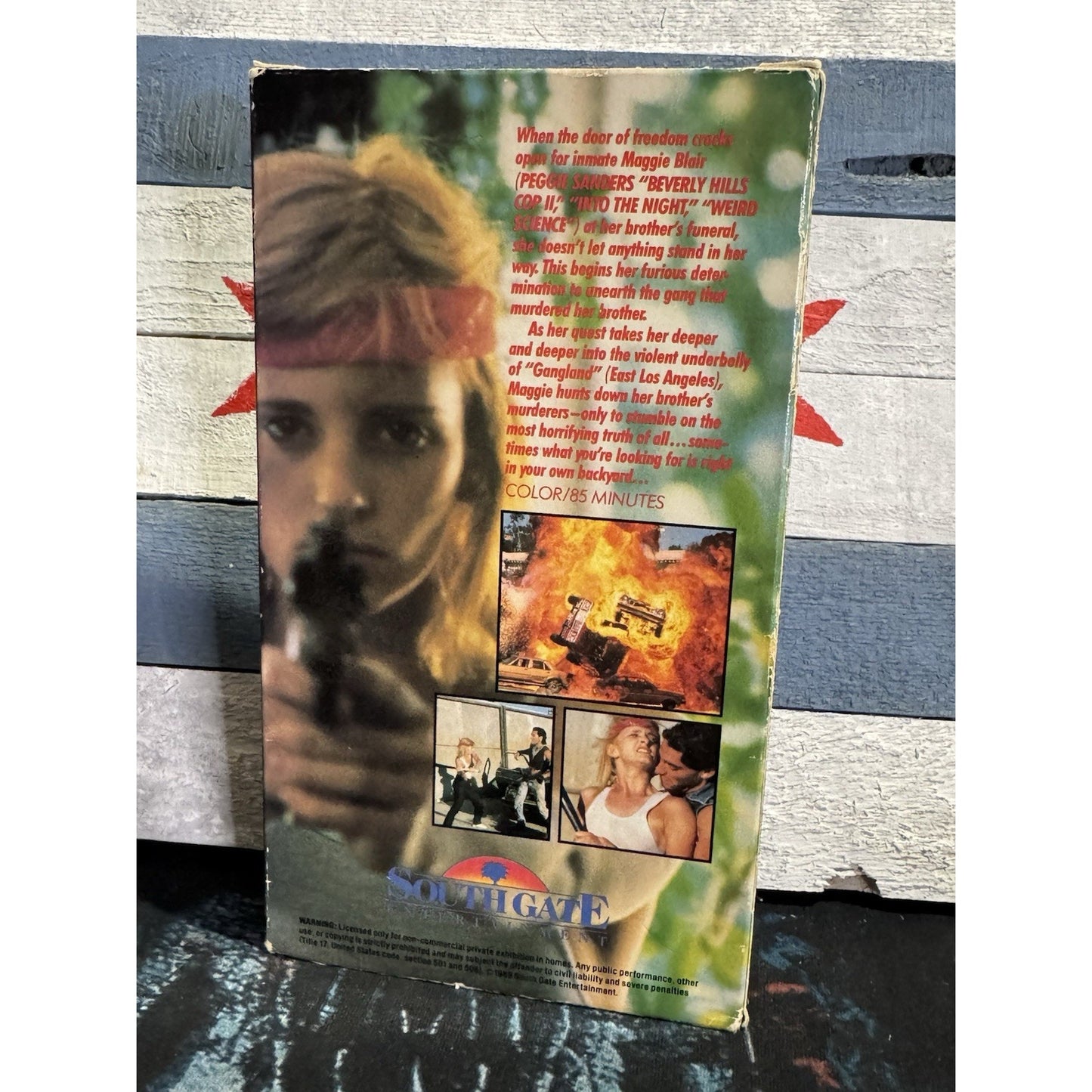 Lady Avenger - VHS Used