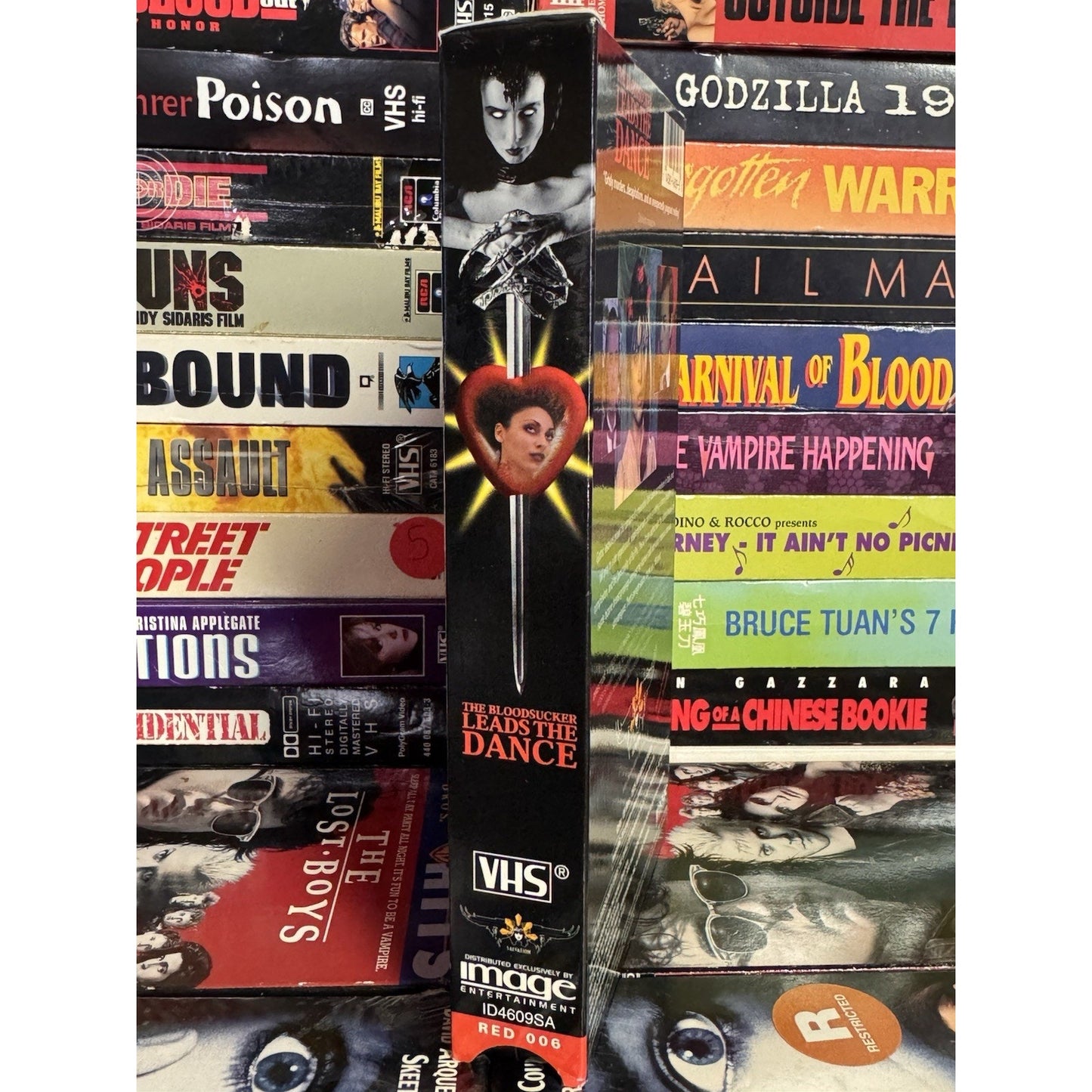 The Bloodsucker Leads The Dance - VHS Used