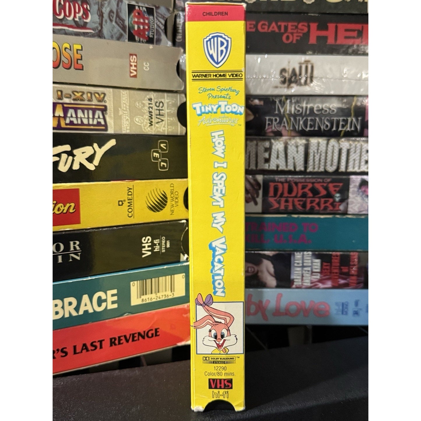 Tiny Toon Adventures How I Spent My Vacation - VHS Used