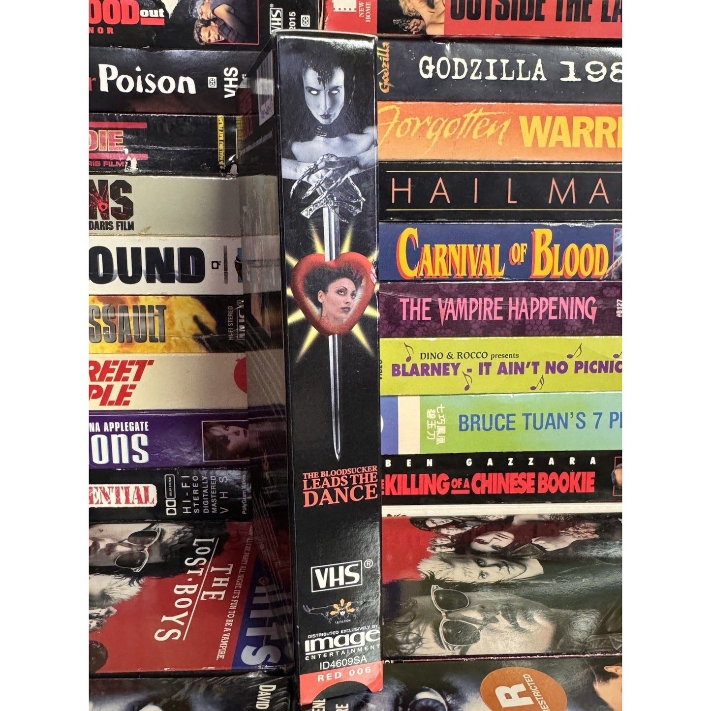 The Bloodsucker Leads The Dance - VHS Used