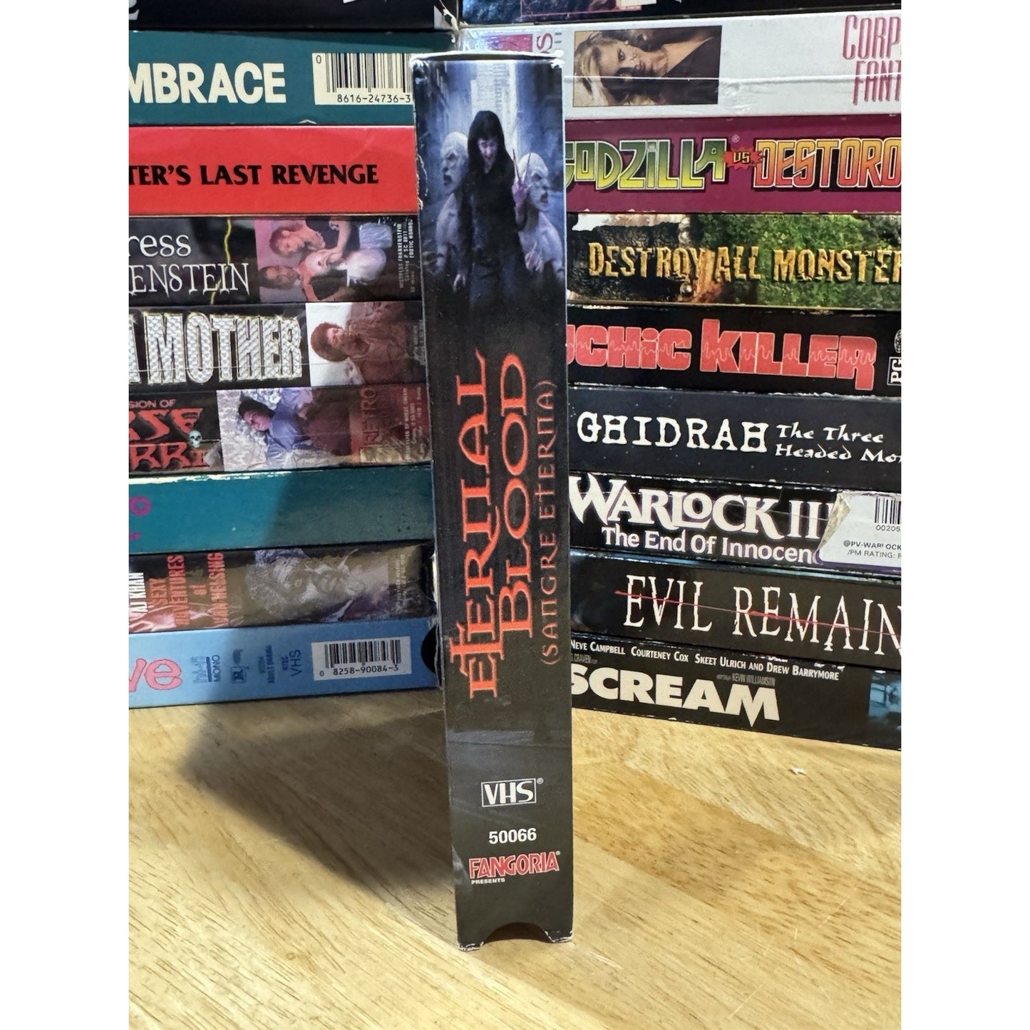 Eternal Blood (Sangre Eterna) - VHS Used