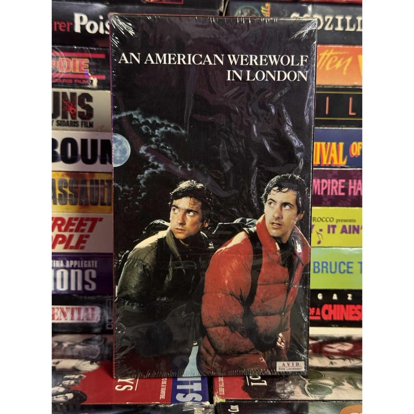 An American Werewolf in London - VHS Used