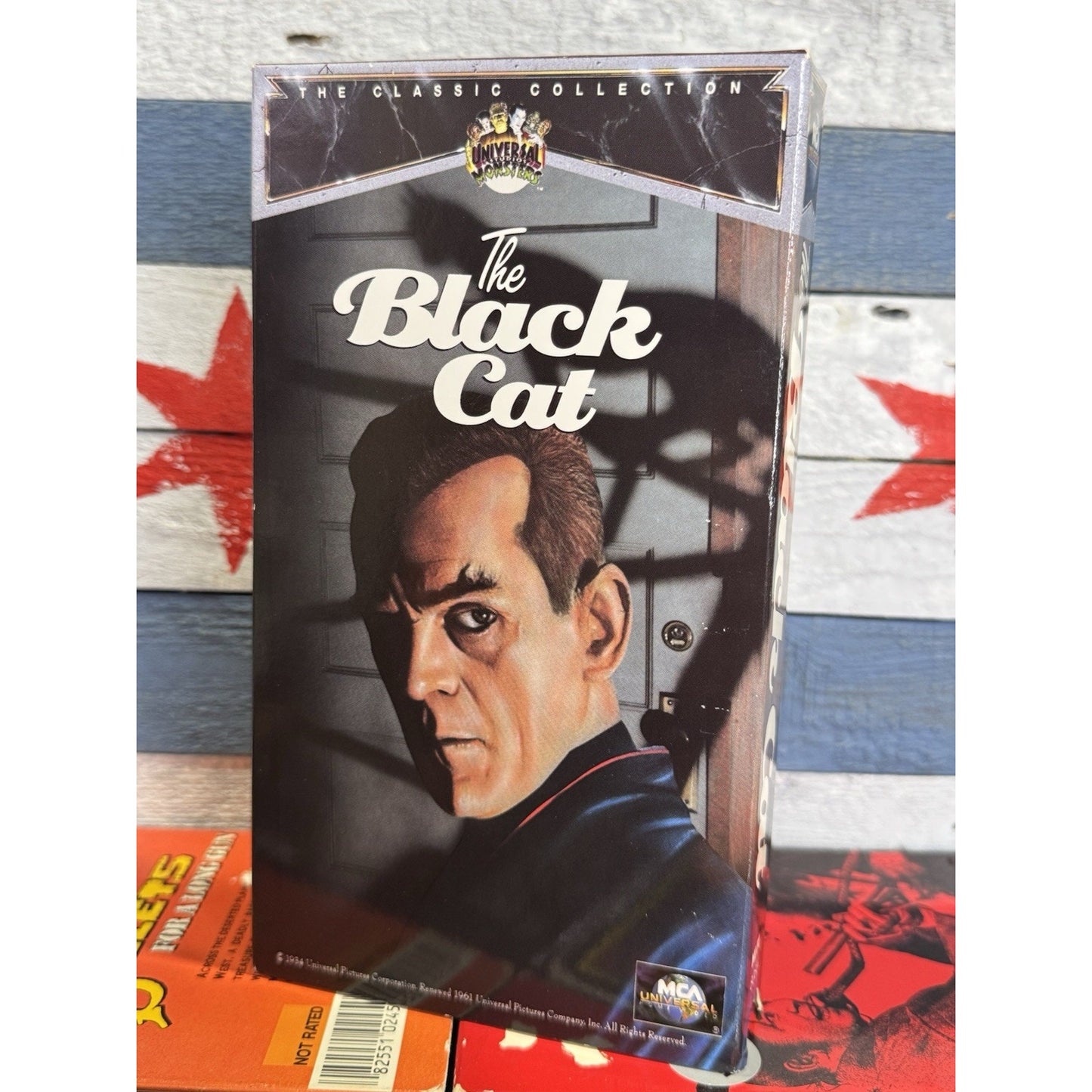 The Black Cat - VHS Used