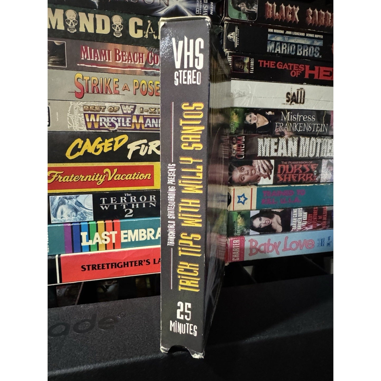 Transworld Skateboarding: Trick Tips with Willy Santos - VHS Used