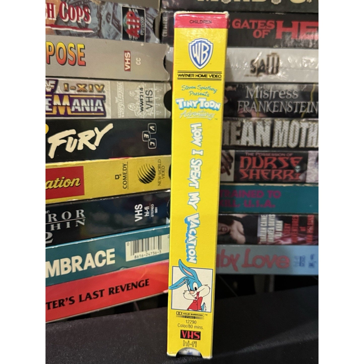 Tiny Toon Adventures How I Spent My Vacation - VHS Used