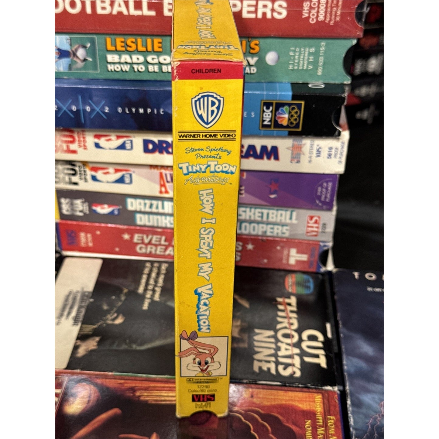 Tiny Toon Adventures : How I Spent My Vacation - VHS Used